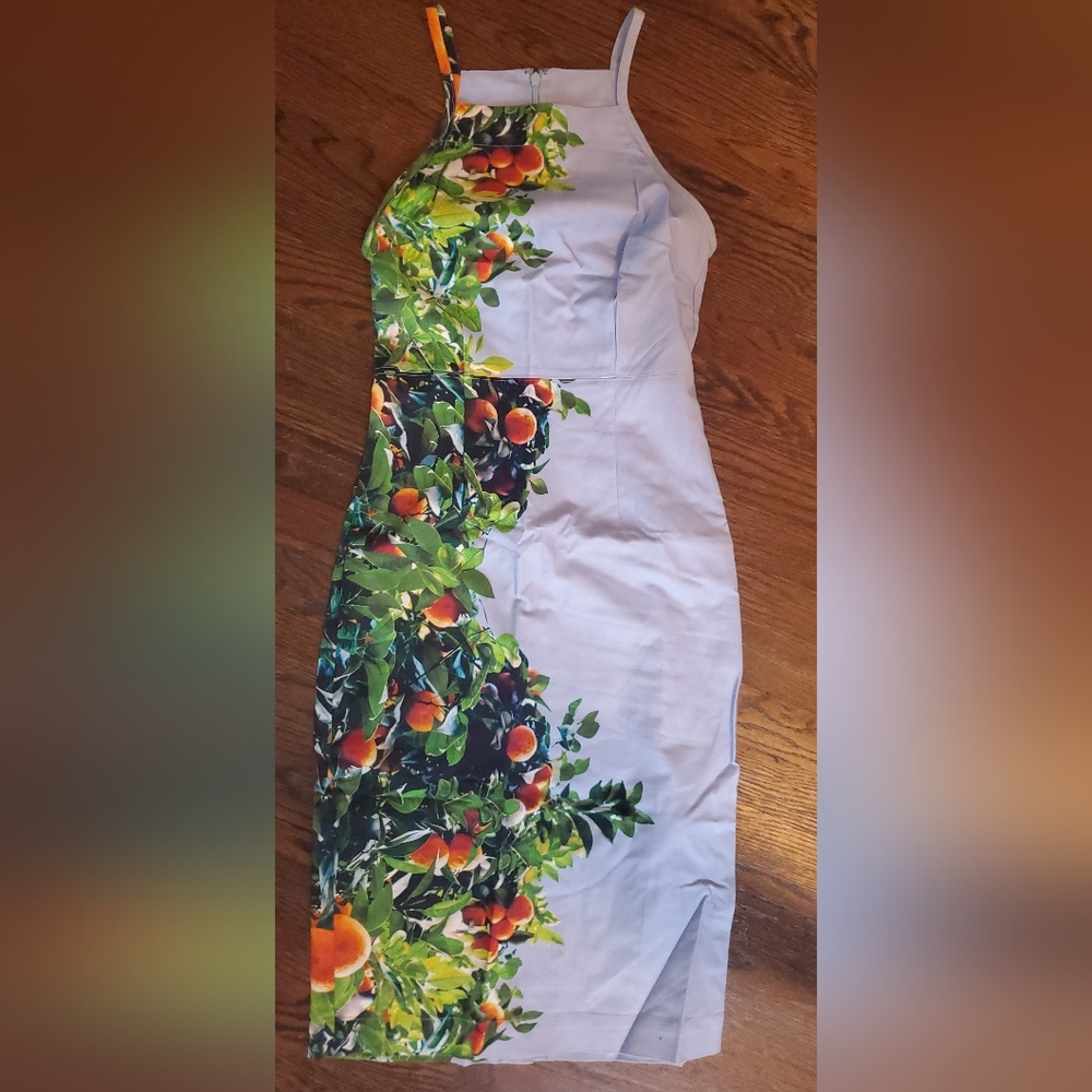 Maeve Fruit Print Sleeveless Dress